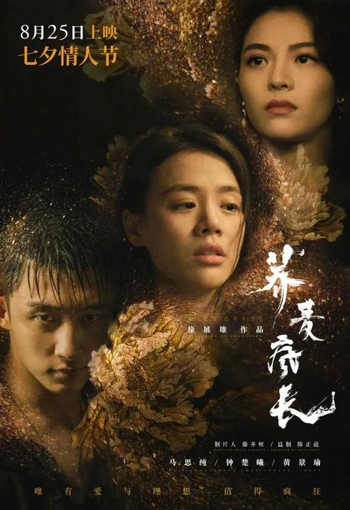 圣乔治大学学士成绩单